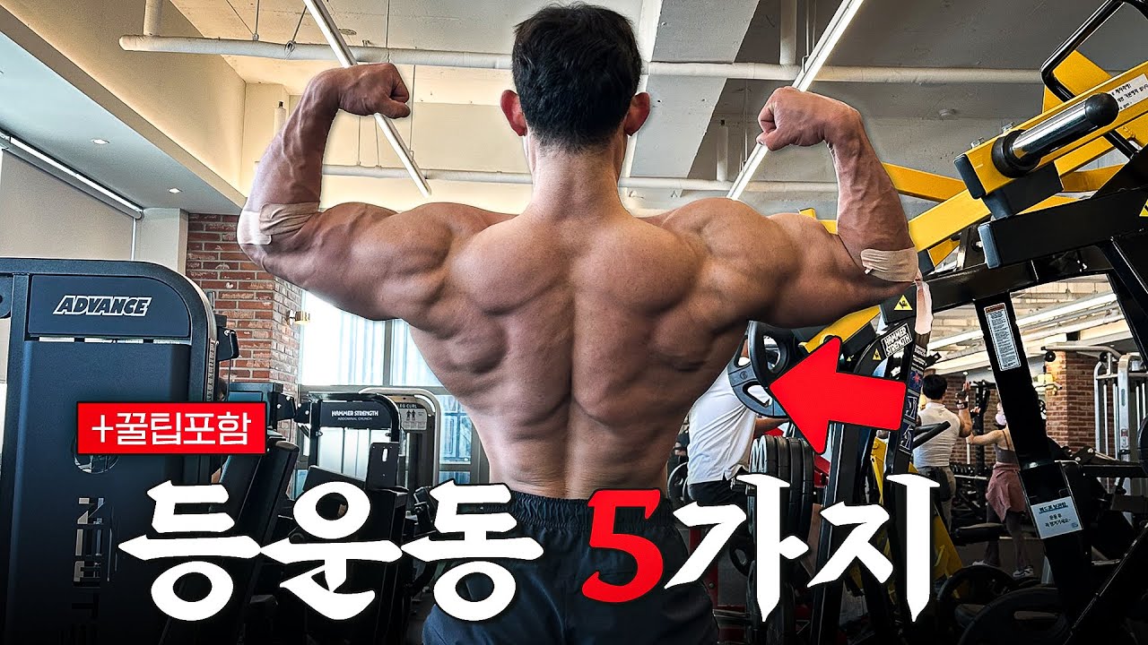 등 운동 방법을 바꿨더니 등이 넓어졌습니다! (+꿀팁포함)