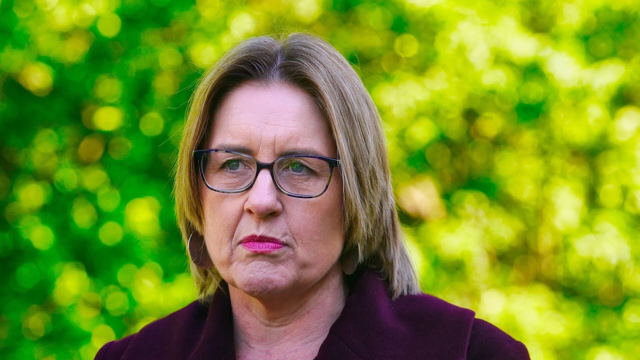‘Nobody voted for this’: Victoria’s Indigenous treaty blasted as ‘race-based politics’