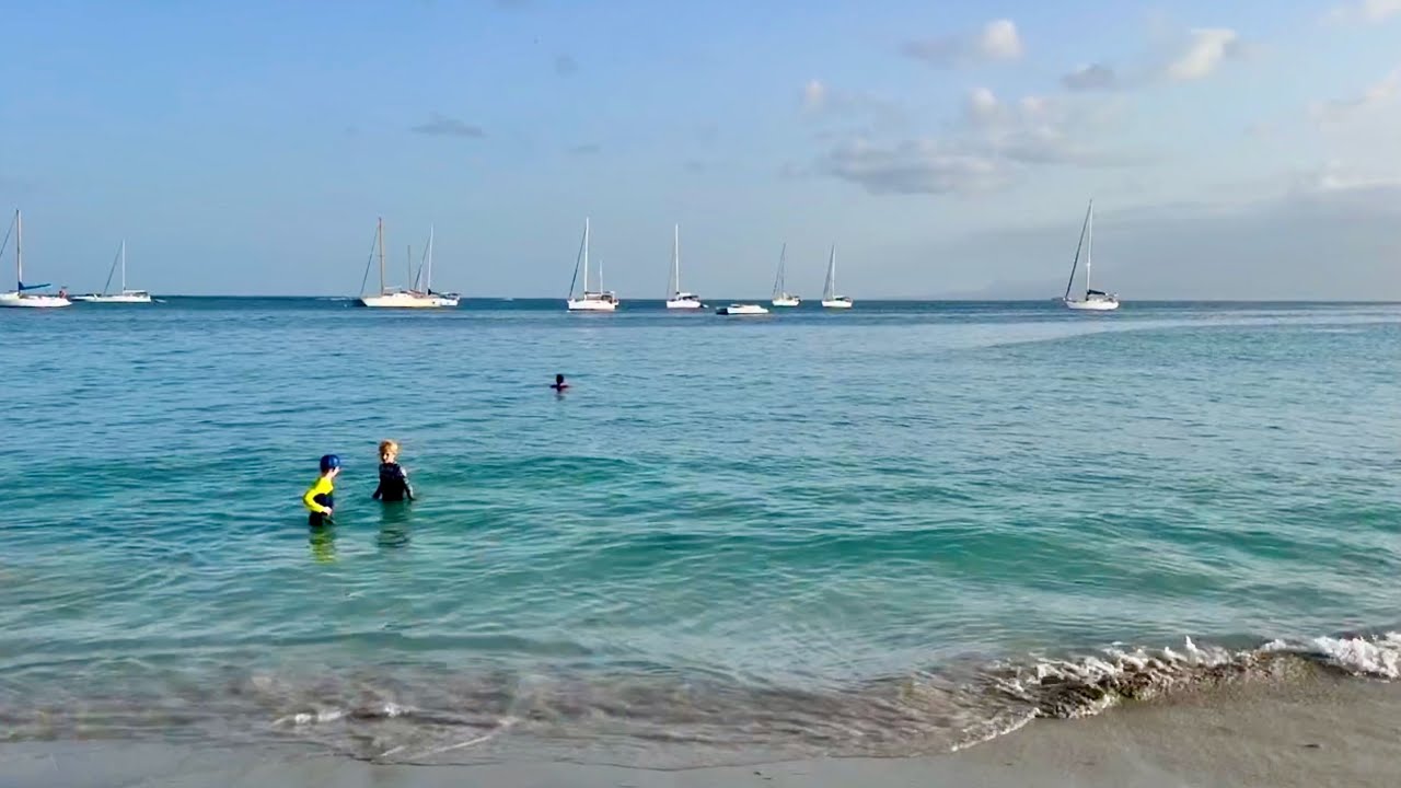 Premiers pas d'une nouvelle vie d'expatriés en Guadeloupe