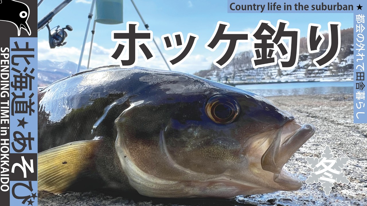 ホッケ釣り_カレイもそろそろ釣りたい
