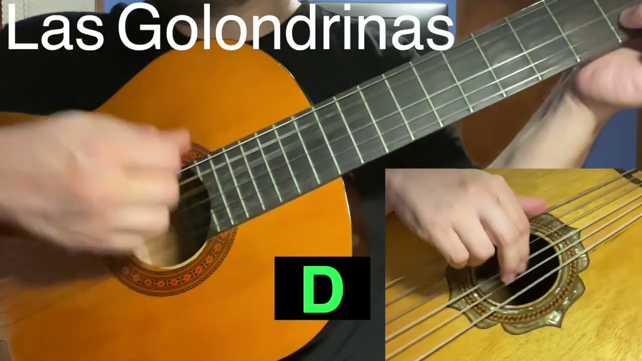 Las Golondrinas | Guitarra y Guitarron | Armonía