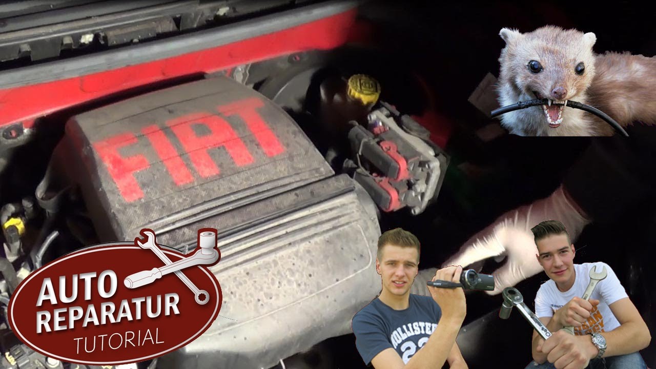 Marderschaden reparieren | Z&uuml;ndkabel wechseln | Auto Tutorial