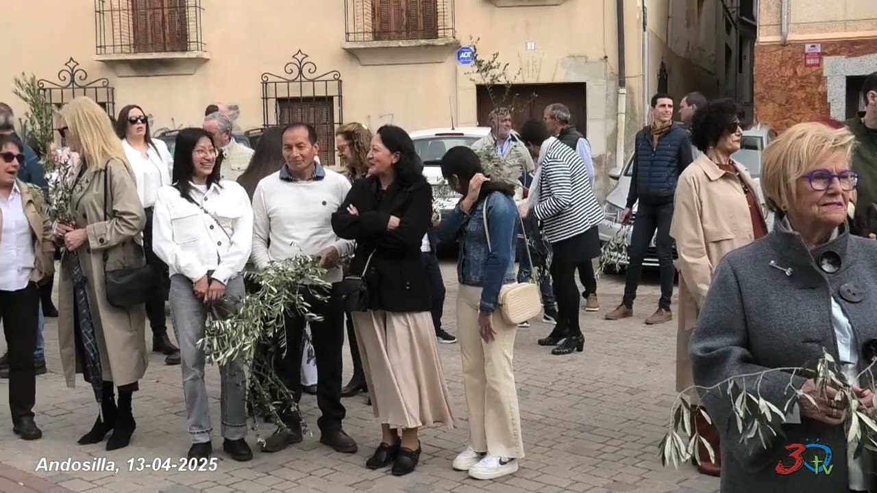 Andosilla, Procesión Domingo de Ramos, 13-04-2025