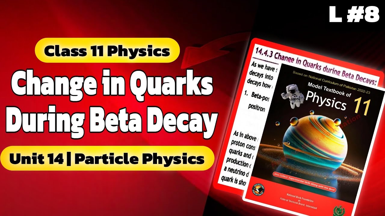 Change in Quraks During Beta Decay | Class 11 Physics NBF | Chapter 14: Particle Physics | NBF 2024