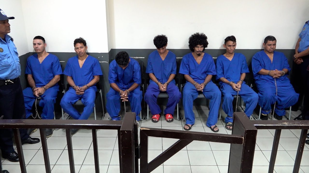 Pretendían vender carne de caballo en el mercado Oriental, pero los atraparon