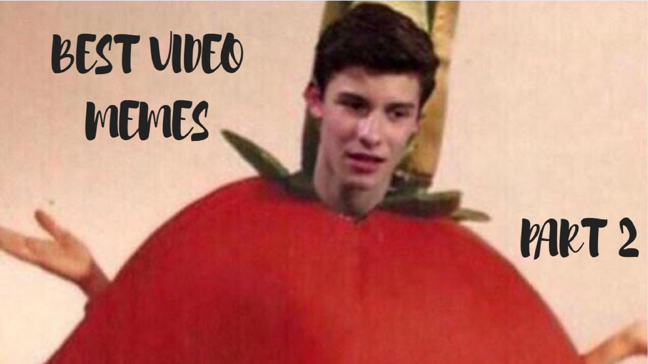 SHAWN MENDES' BEST VIDEO MEMES!! PART 2