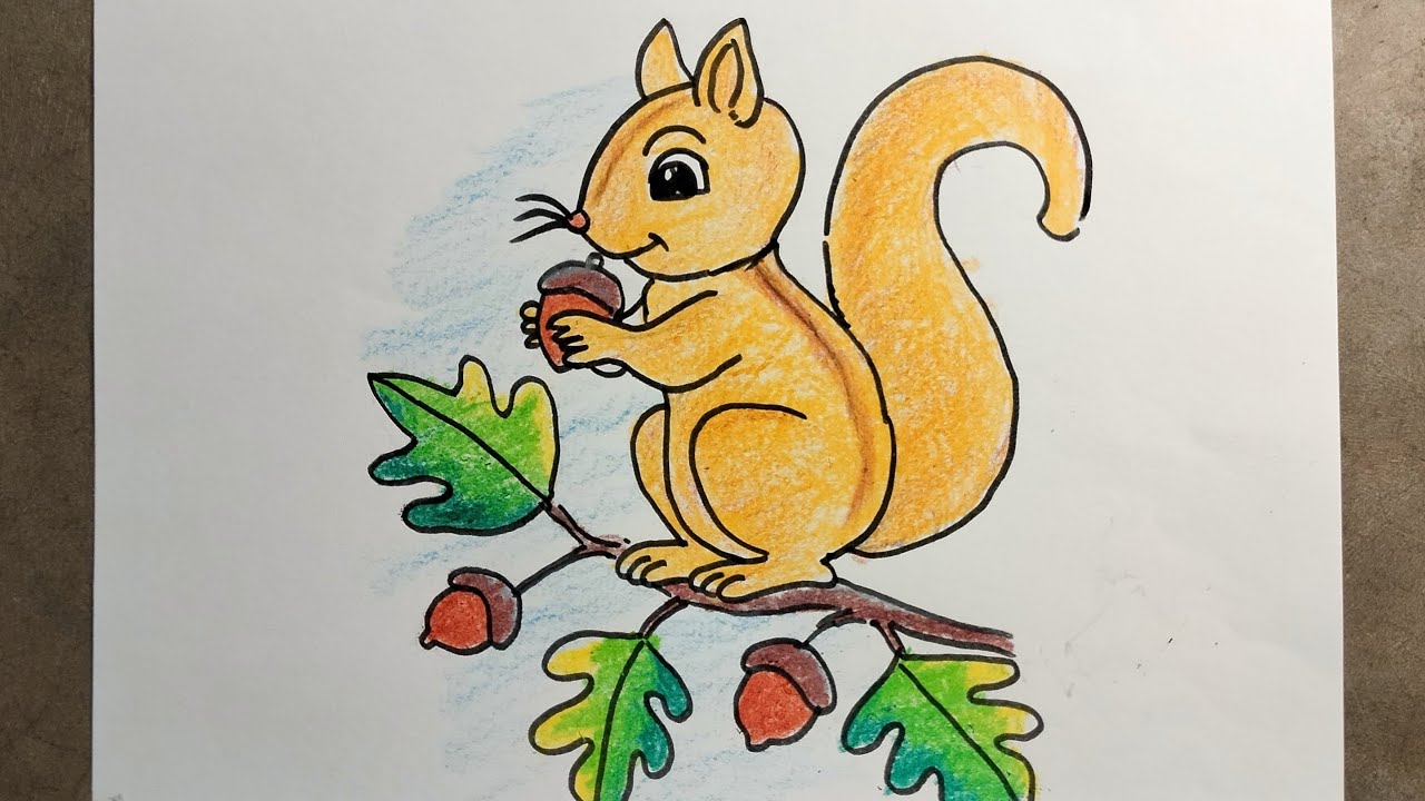 Squirrel drawing easy|| How to draw squirrel easy step by step.
