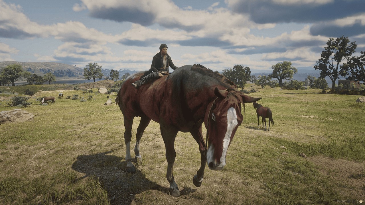 Pisces Serenade #ccrp #cowboys #roleplay #redm  #goodbye