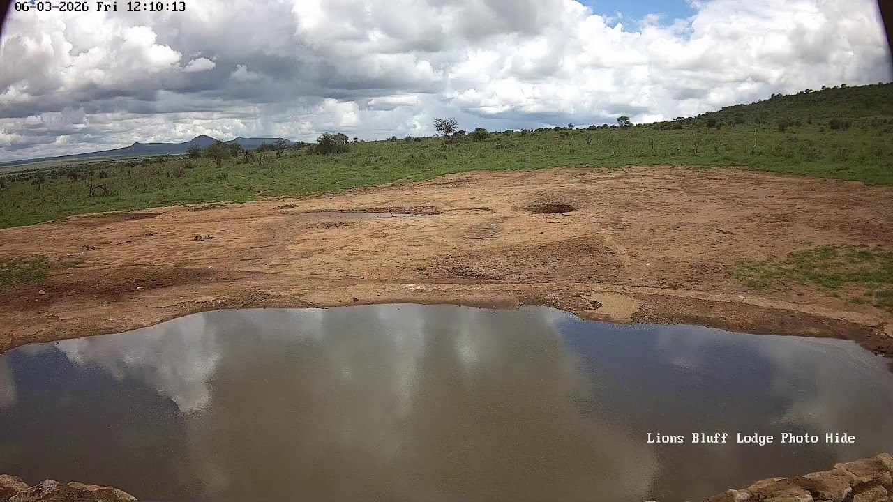 Lions Bluff Lodge Photo Hide - Live Stream