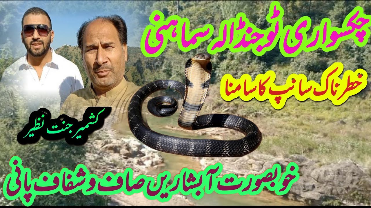 A visit chakswari to jandala samhani ,a snake welcome us at Samahni road . crystal clearwater fall .