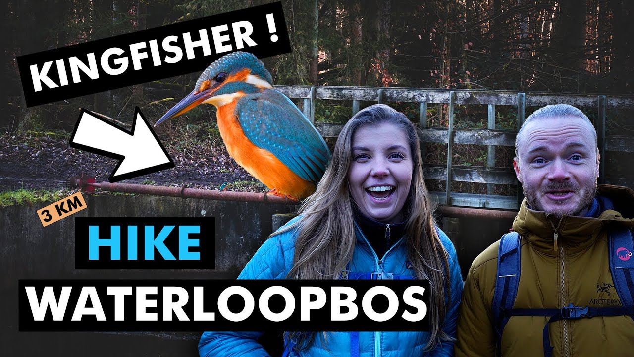 Waterloopbos - Hiking In The Netherlands