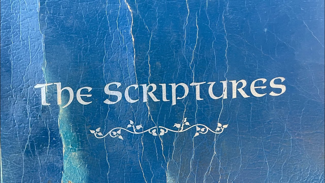Ezekiel 11-15