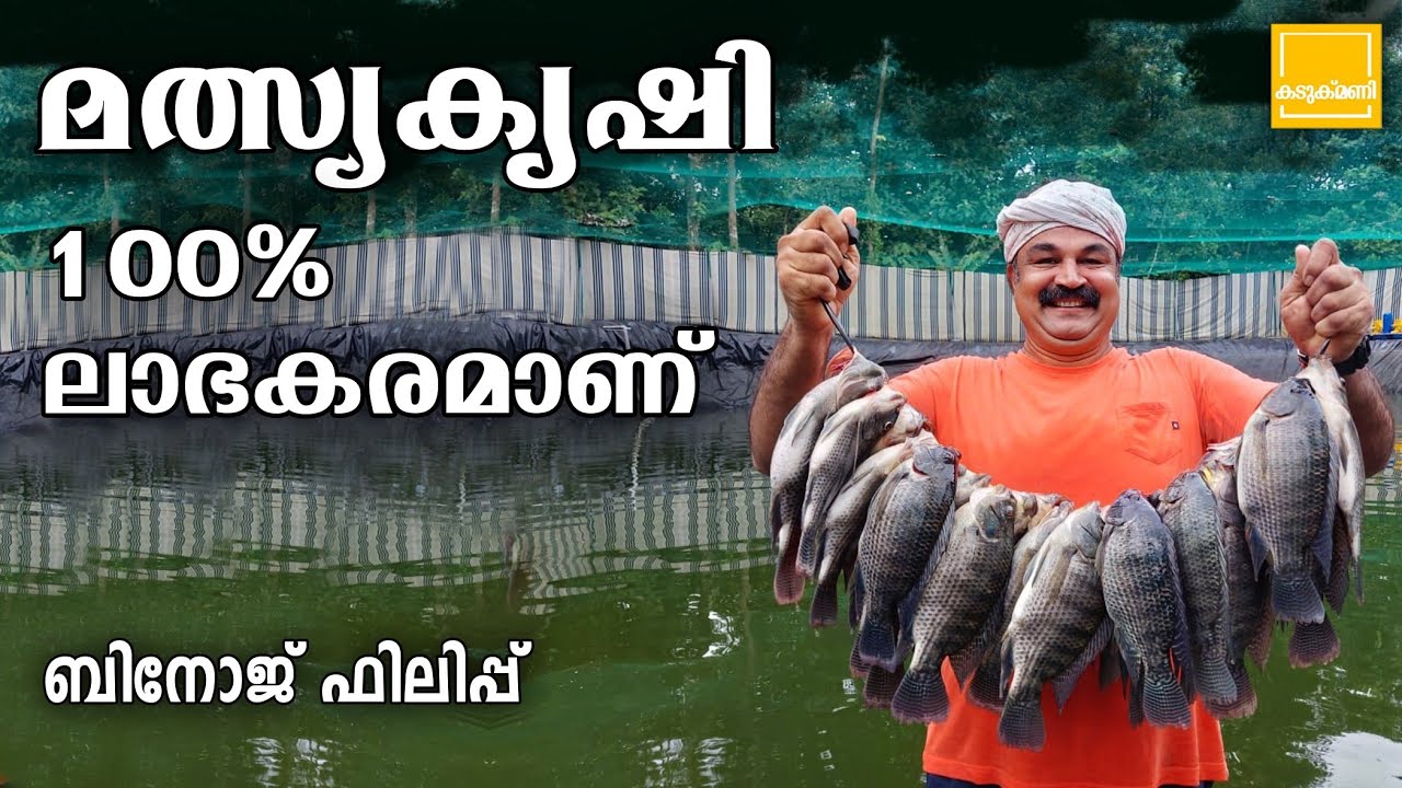 മത്സ്യകൃഷി 💯% ലാഭകരമാണ് |Tilapia Meen Valarthal |  Fish Farming Kerala Malayalam | Tilapia Fish Farm