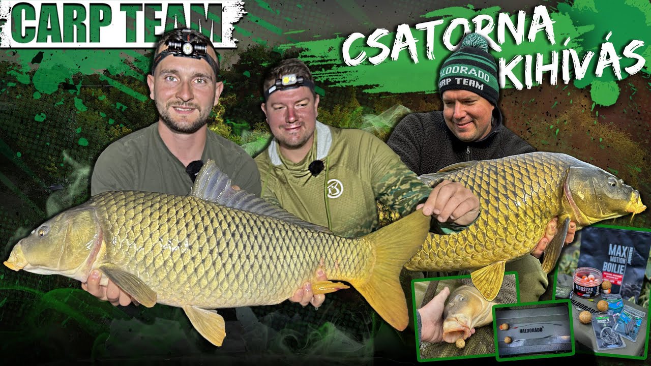 Rokolya Péter - Csatorna kihívás 