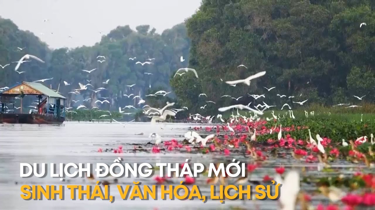 Du lịch Đồng Th&aacute;p mới - Sinh th&aacute;i, văn h&oacute;a, lịch sử | VTV4