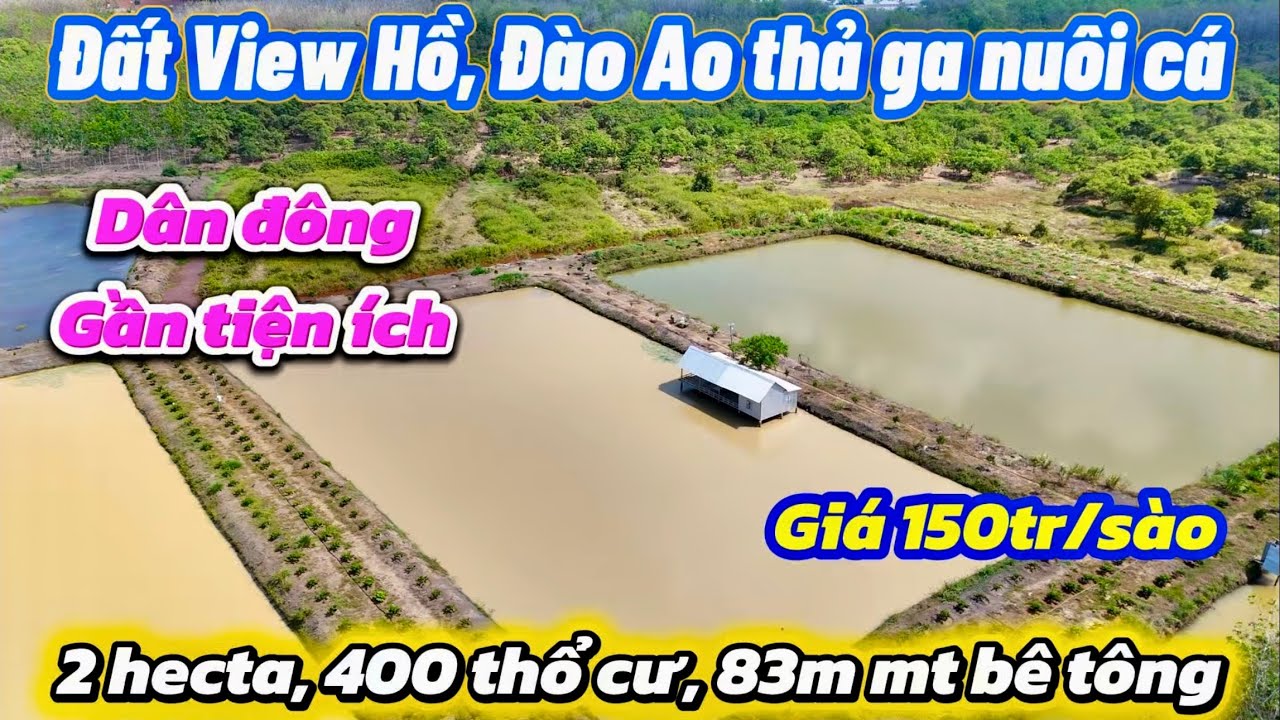 Thoả thích đam mê ĐÀO AO, TẠO VIEW. 1,5 hec vườn + 5 sào Ao. 400m thổ cư, 83m mt bê tông. 💰 150tr/s