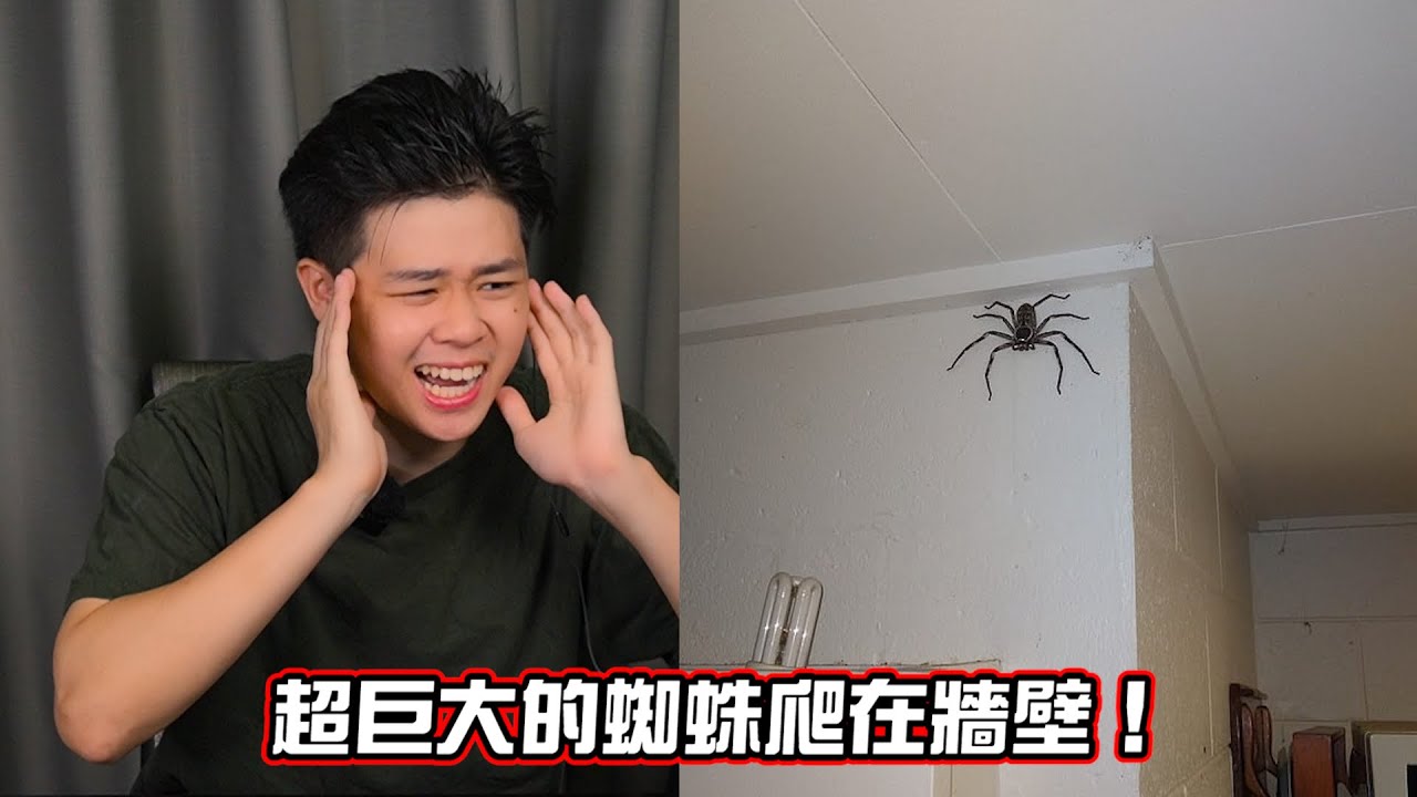 可能是你生命中第一次見到的東西！讓你懷疑人生