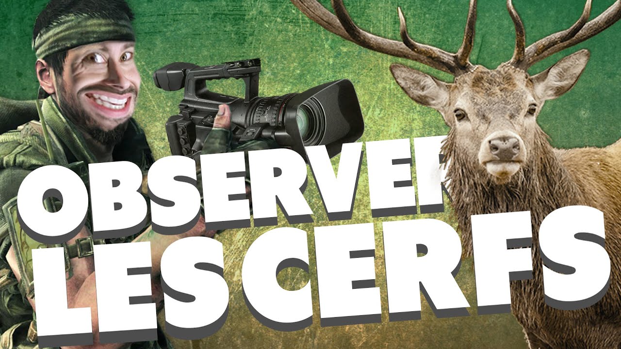 OBSERVER LES CERFS (LES ETRANGES EXPERIENCES)