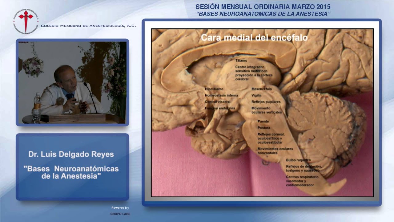 Dr. Luis Delgado Reyes 