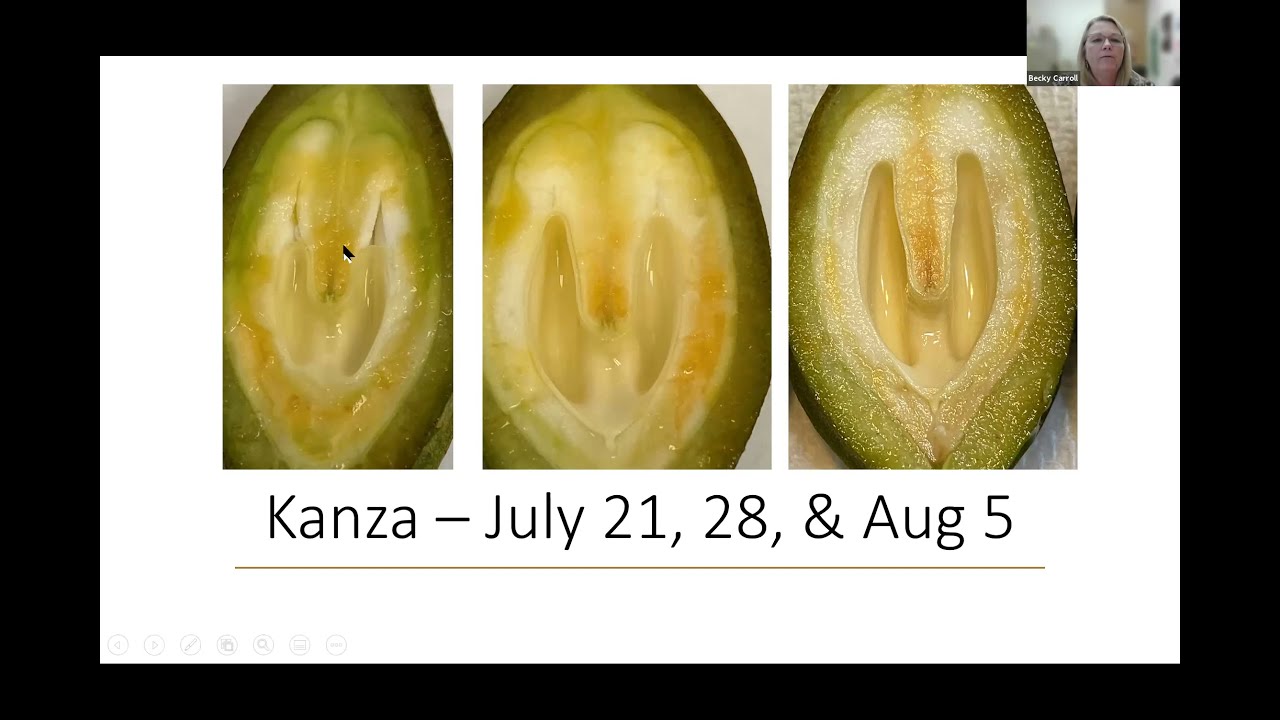 OSU Extension: Pecan Topics for August