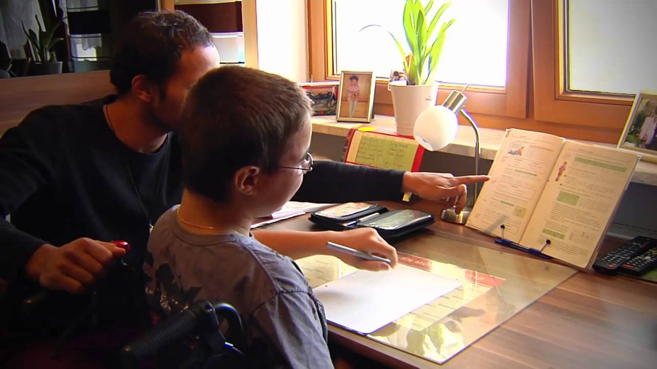 Hollerhaus: &Uuml;bersicht (Leichte Sprache)