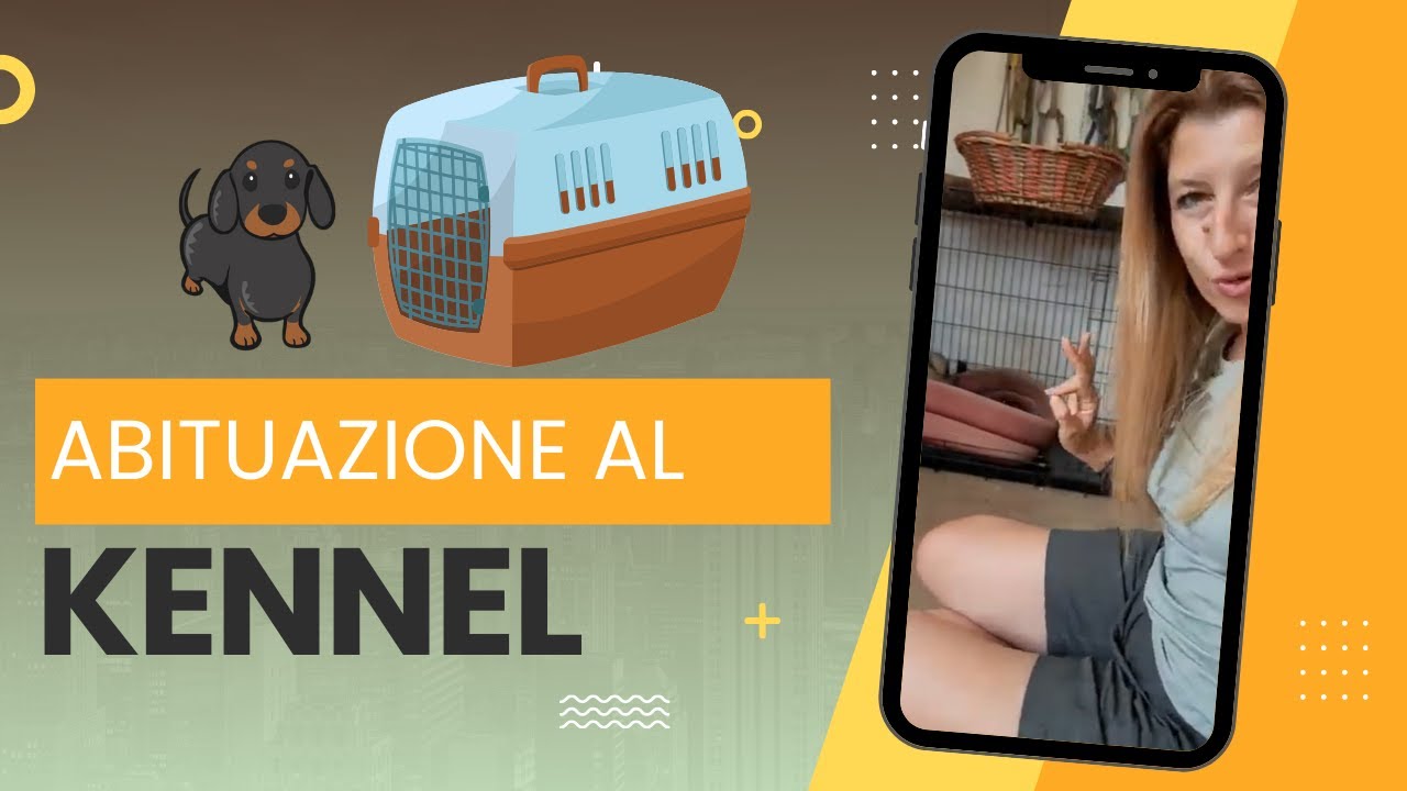 Kennel: tranquillo nel trasportino