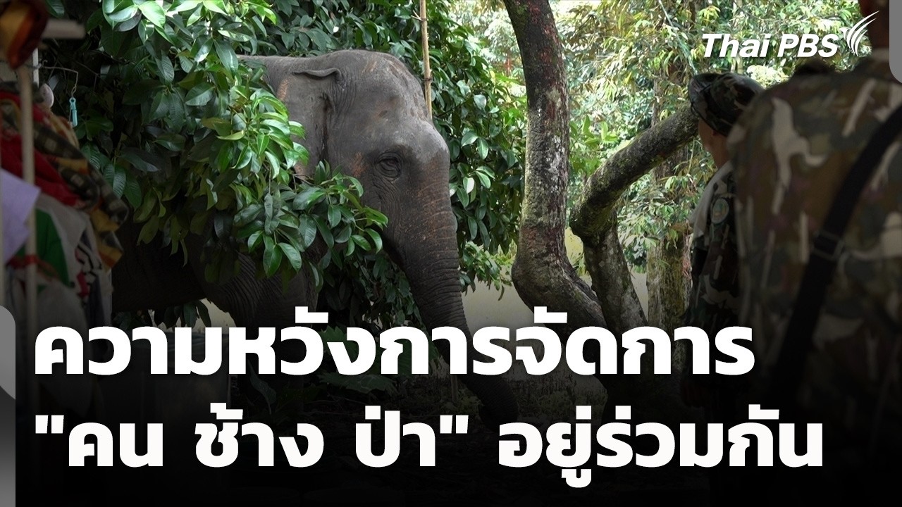 ความหวังการจัดการ 