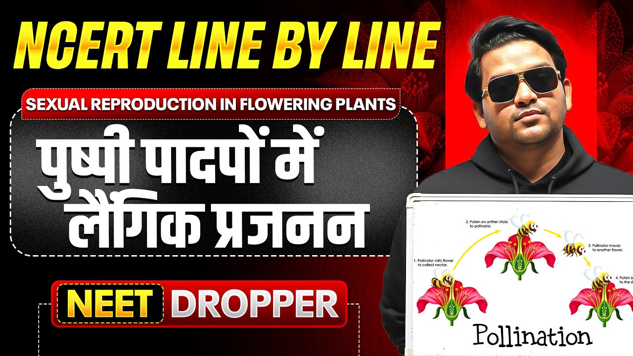 SEXUAL REPRODUCTION IN FLOWERING PLANTS in 1 Shot | पुष्पी पादपों में लैंगिक प्रजनन | Botany