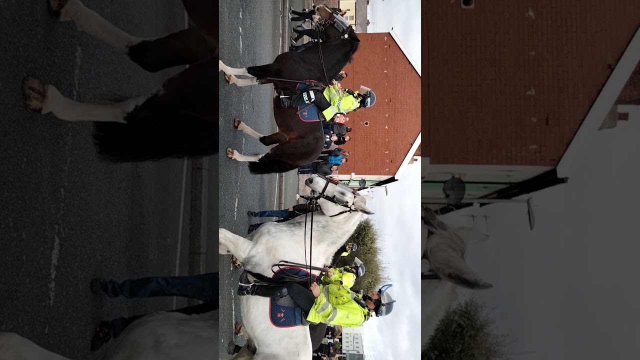 Blackpool v Preston ,Blackpool fans having fun at you armfield