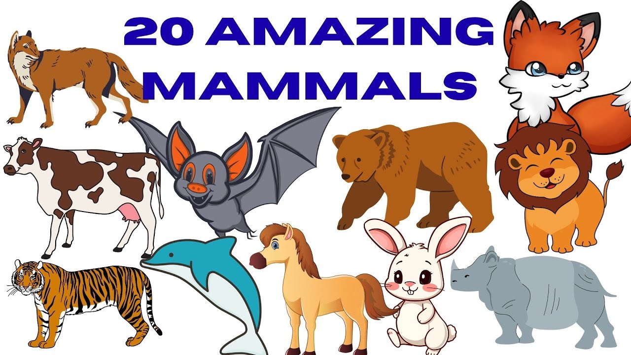 स्तनधारी जानवरों के नाम | Mammal Animals Name in Hindi | Animals for Kids Mammal Animals Name