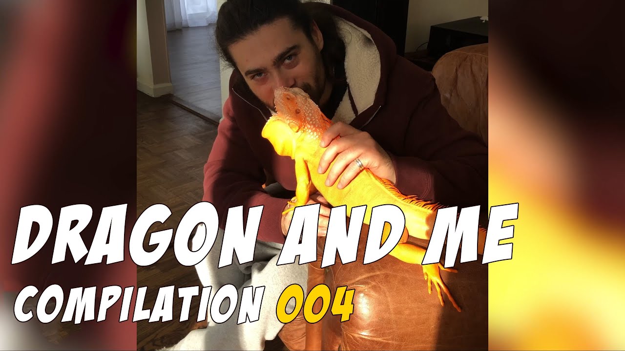 Dragon and Me - Compilation 004