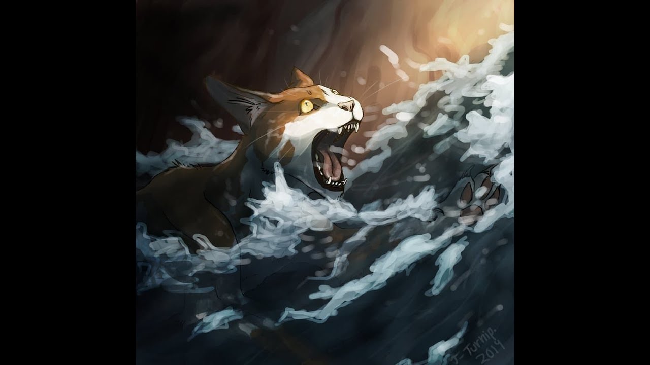 10 qualvolle Tode || Warrior Cats Videos