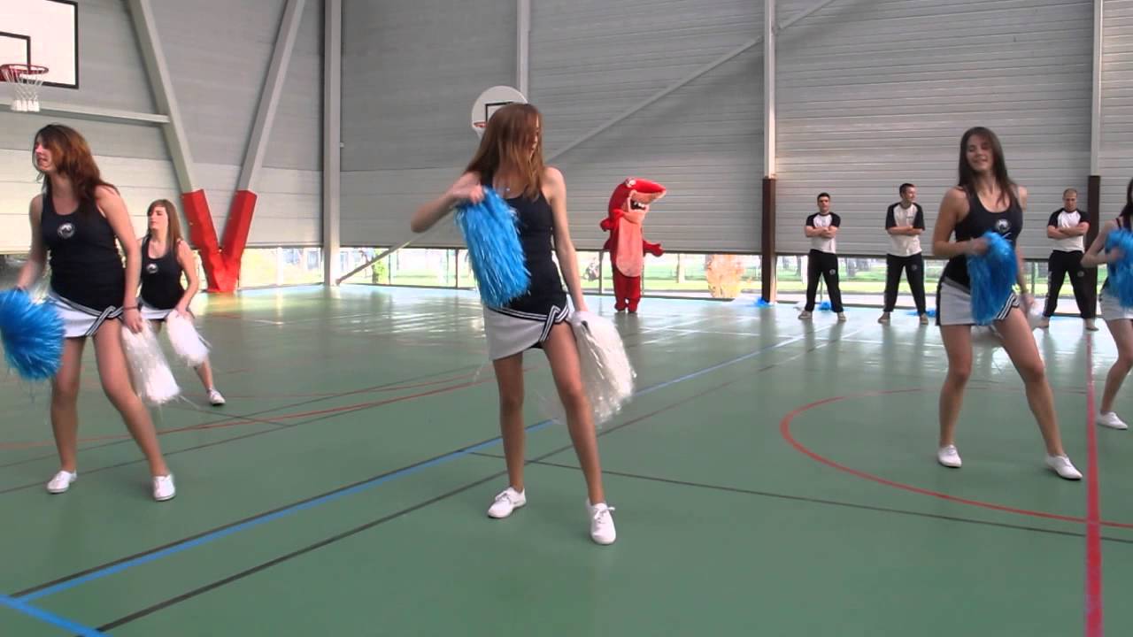 Pompoms INSA Rouen 2014