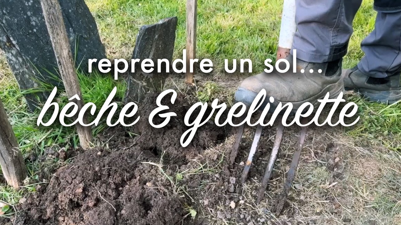 Pourquoi je pr&eacute;f&egrave;re la grelinette &agrave; la b&ecirc;che.