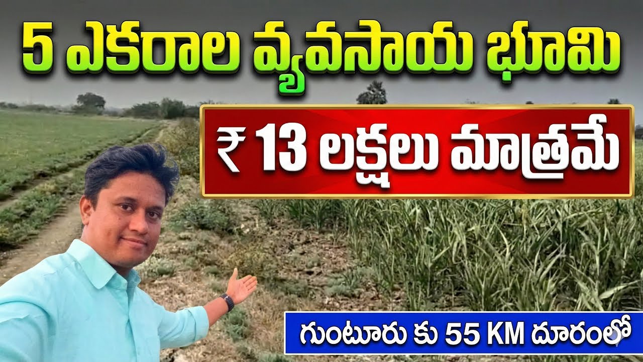5 ఎకరాల వ్యవసాయ భూమి అమ్మబడును  | EstateGuru