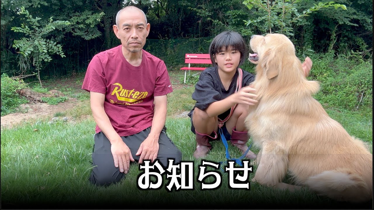 前回の動画について