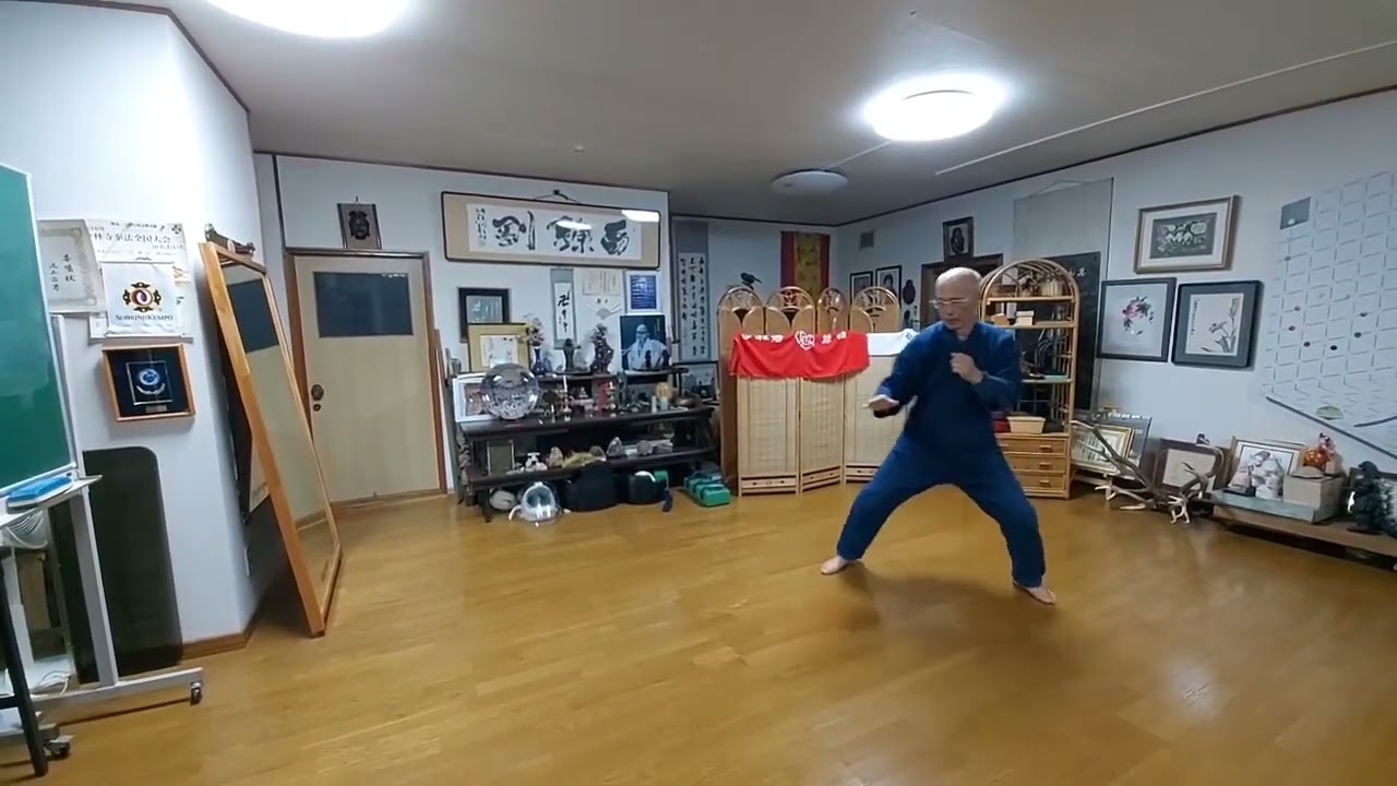 2.下受 Shitauke 少林寺拳法 Shorinji Kempo