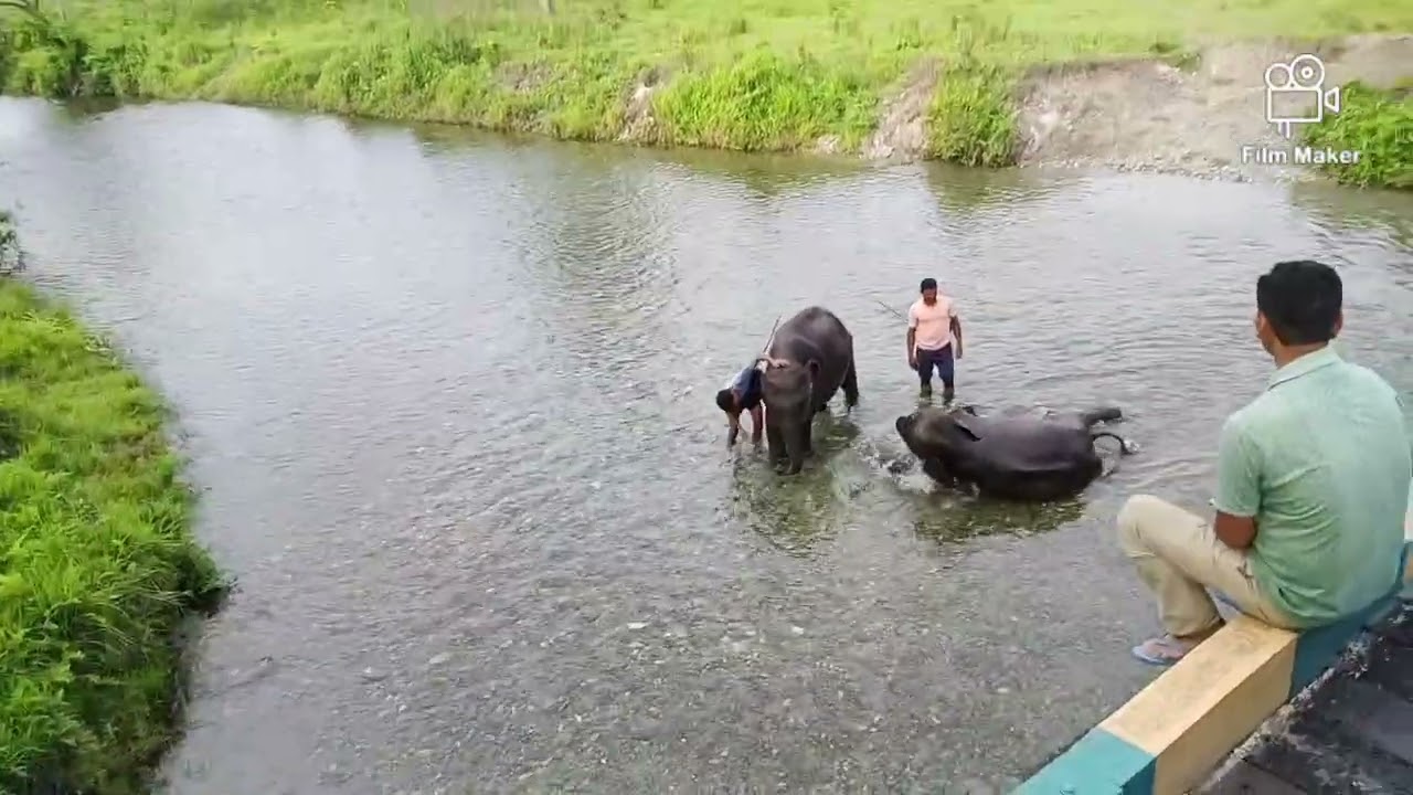 Holong River at Jaldapara 