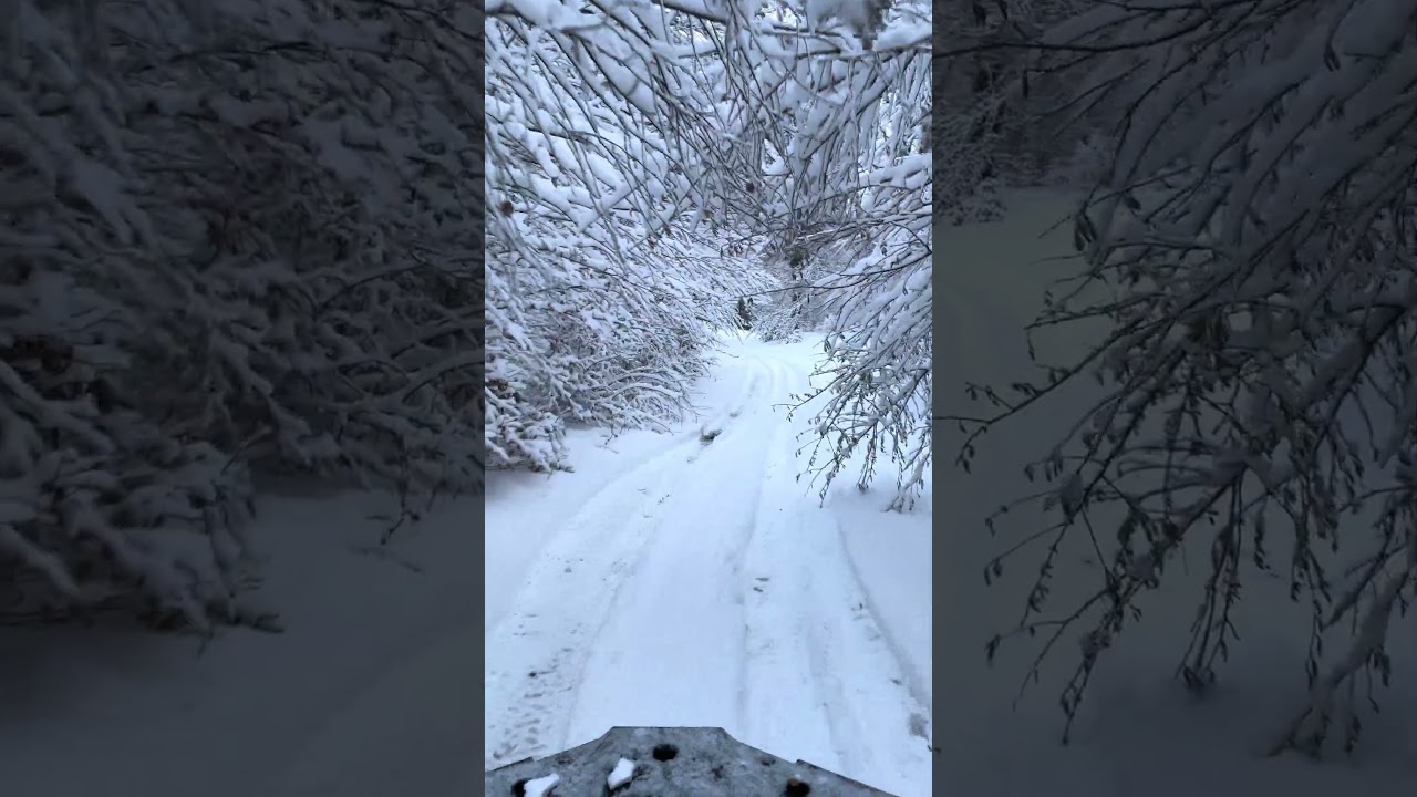 Atv prin pădure Linhai 650 promax
