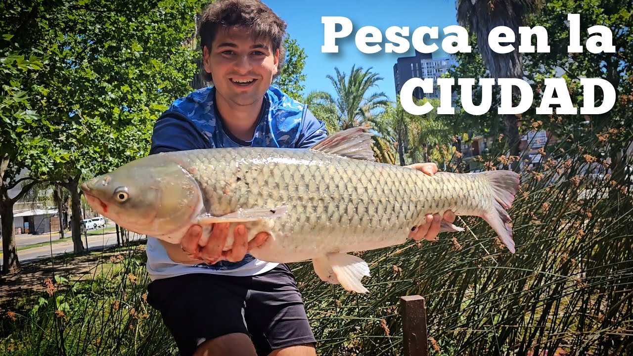 PESCA en la CIUDAD 🎣 | ¡Nunca nos imaginamos esta locuraa 🤪