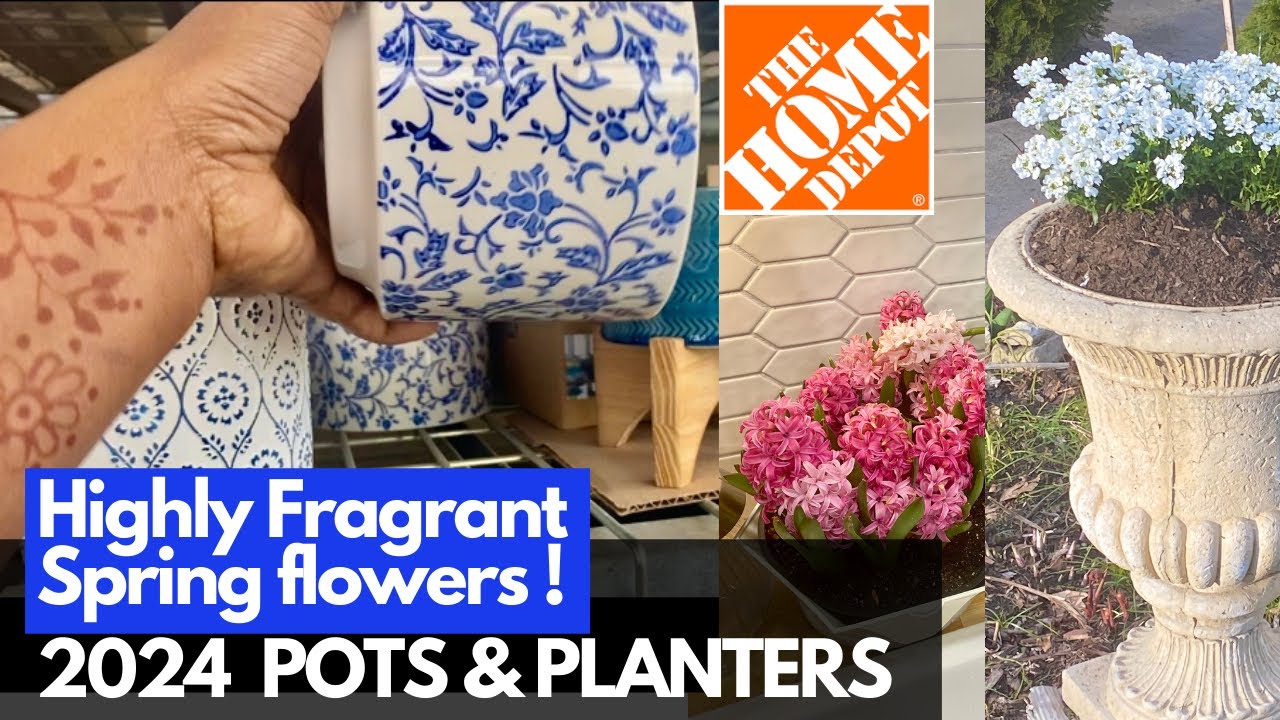 #18 HOMEDEPOT Pots & Planters 2024| Plantshopping & Planting CANDYTUFT  Flower.