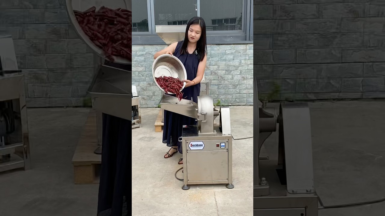 304 stainless steel heavy duty grinder for crushing red chili. #grinder #machine #flourmill