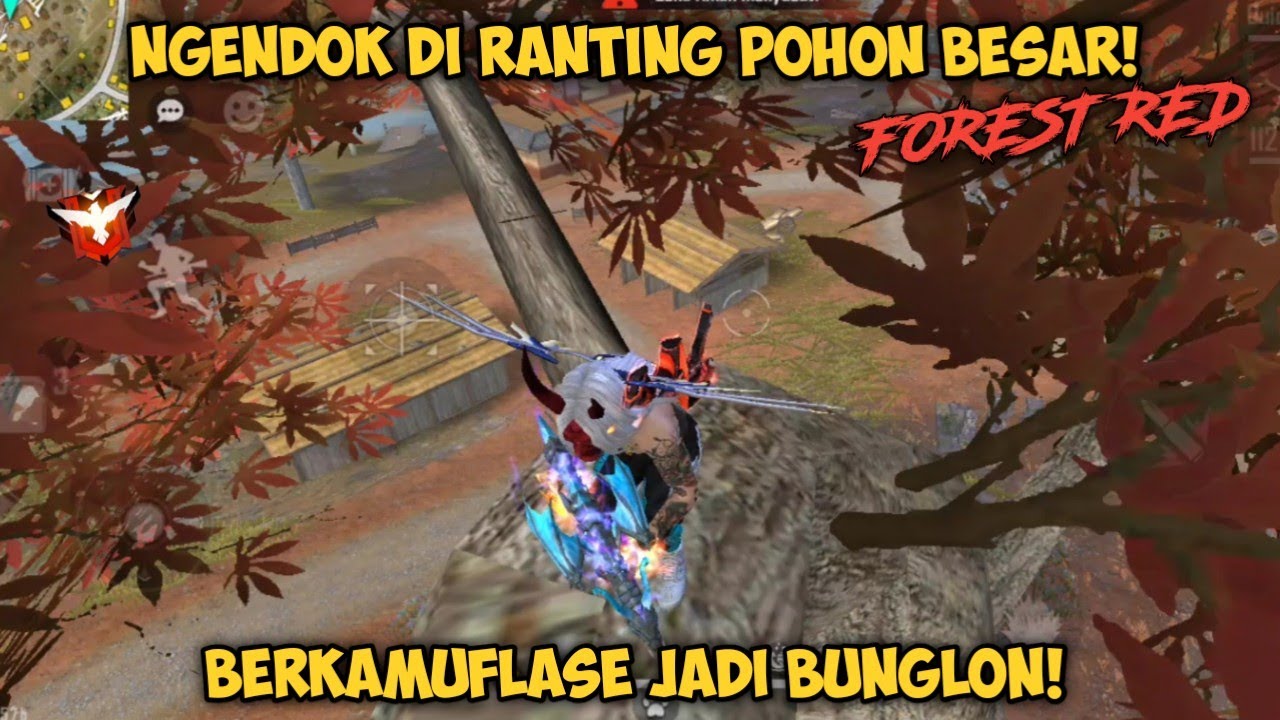 NGENDOK DI POHON BESAR FOREST RED! JADI BUNGLON GA KELIATAN WKWK