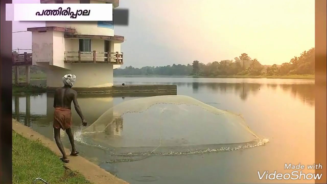Pathiripala പത്തിരിപ്പാല - എന്റെ നാട്