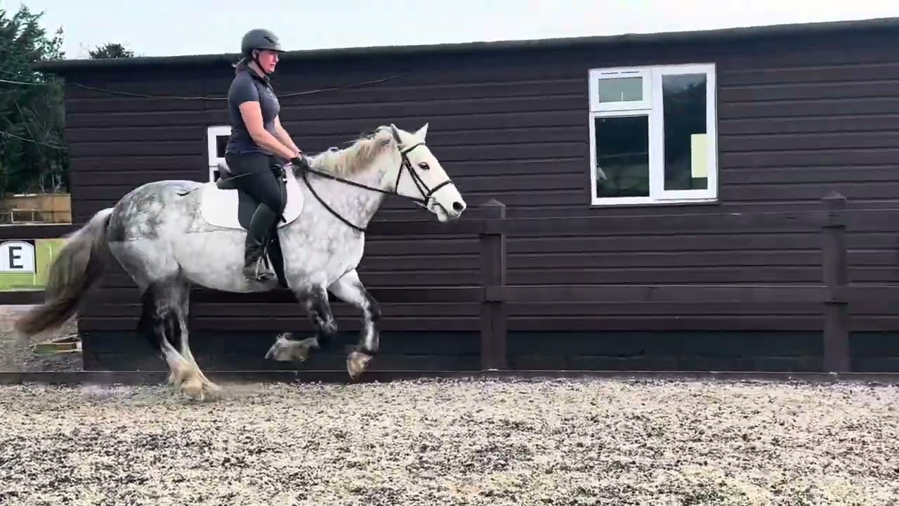 Mouse flat work 