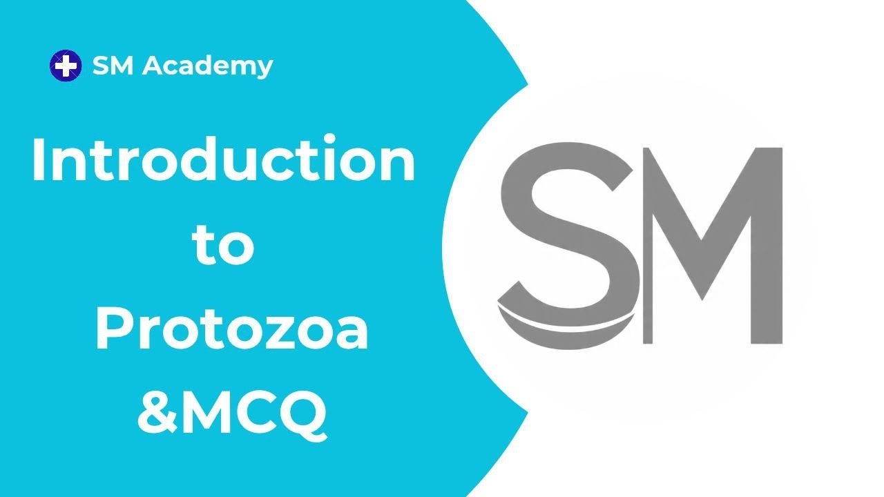 تمريض ثانية وزاري -  الاحياء المجهرية الطفيليات محاضرة ثانية ج1  - Introduction to Protozoa 