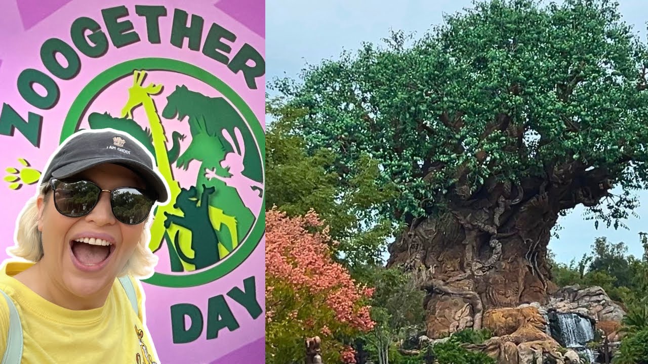 100-е видео из Disney’s Animal Kingdom! Анонс абонемента на Zootopia AP, моменты из Pandora и мой...
