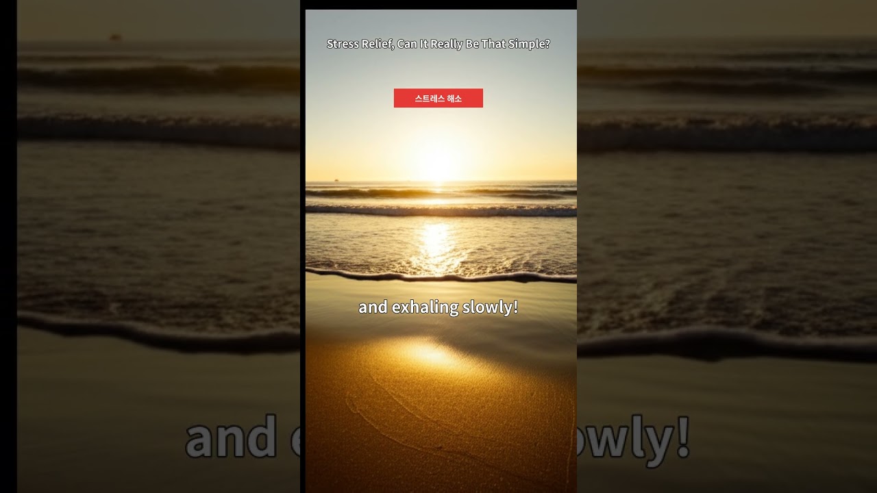 Stress Relief, Can It Really Be That Simple? 