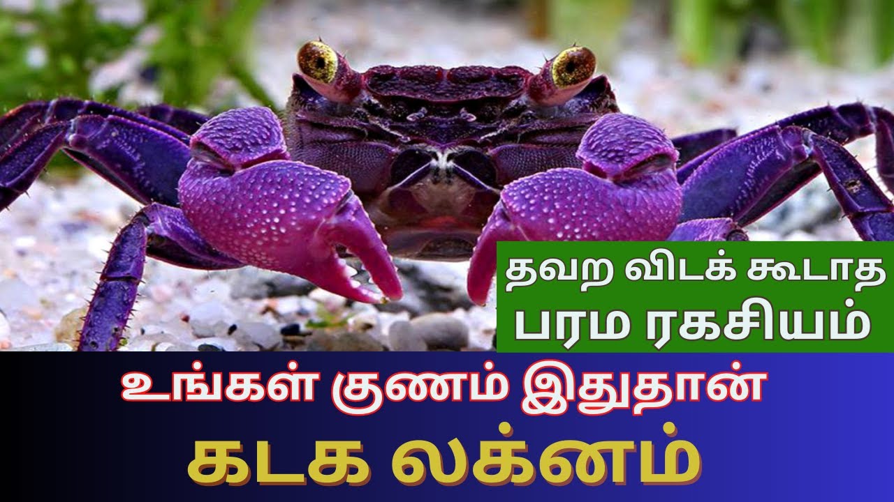 கடக லக்னம் | உங்கள் குணம் இதுதான் | தவற விடக் கூடாத பரம ரகசியம் | Kadaga lagnam | Tamil Astrology