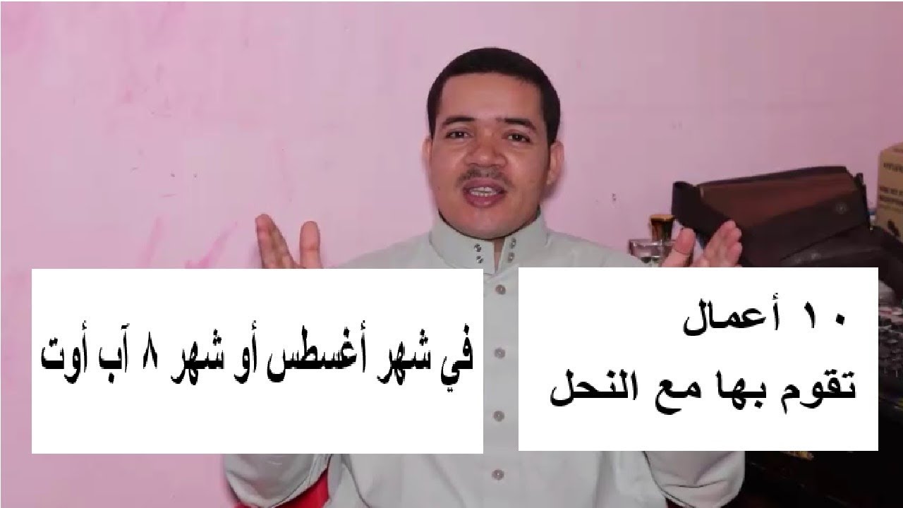 أعمال النحل في شهر أغسطس أب أوت أو الشهر الثامن